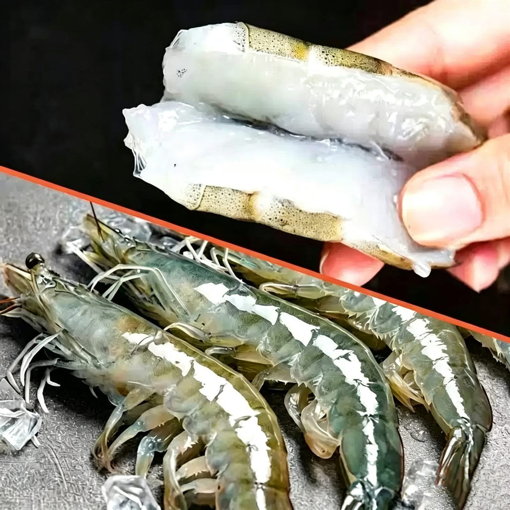 Frozen Large Sea Prawns