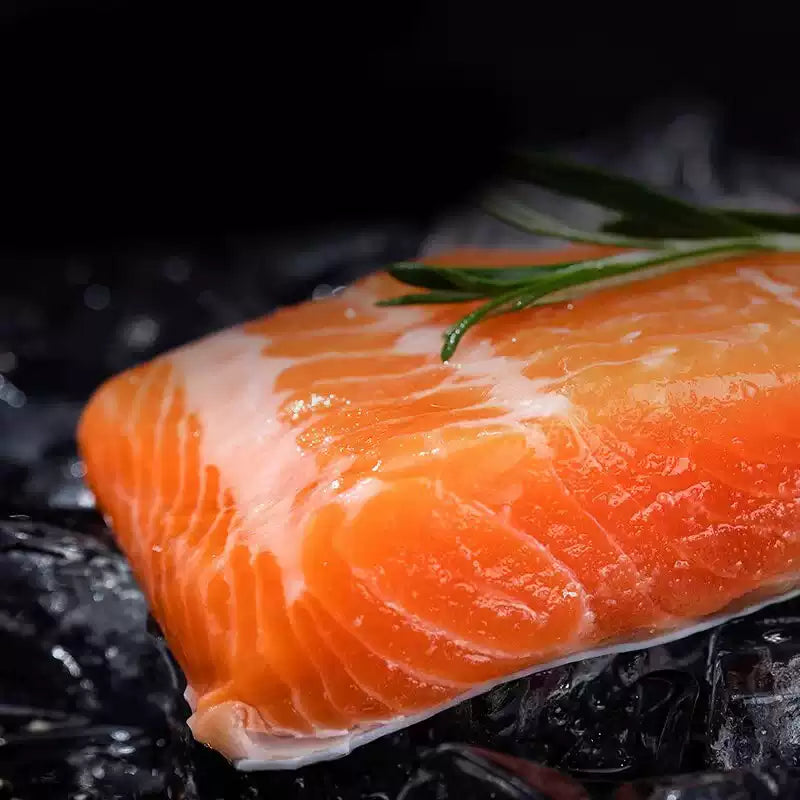 Frozen Salmon Fillet