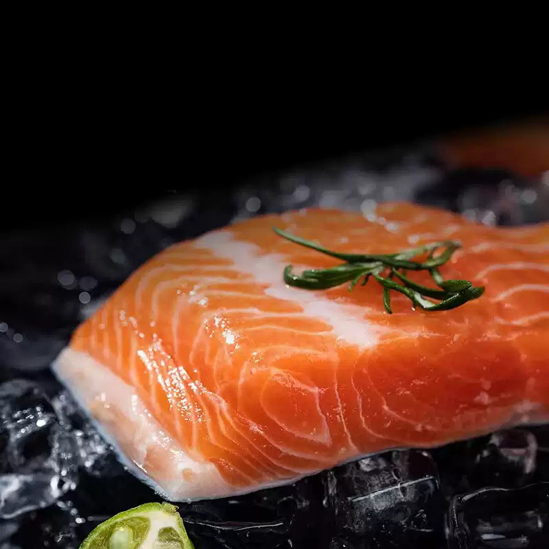 Frozen Salmon Fillet