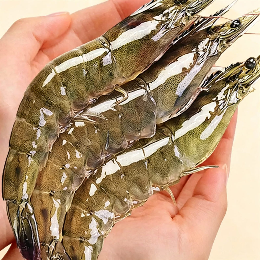 Frozen Raw Whole Prawns